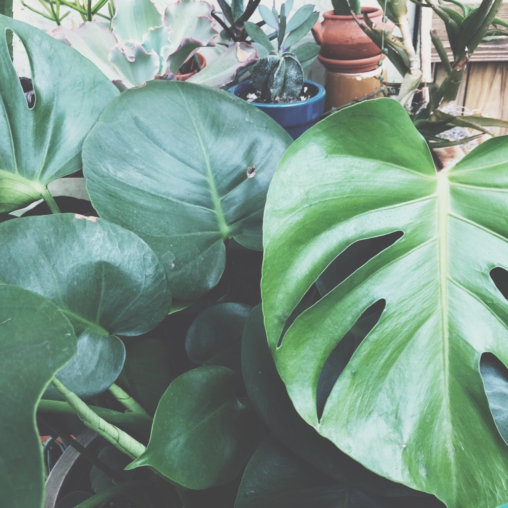 🌿 Make the little things count 🌿